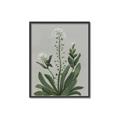 Picture of White flower II  _GroupedProduct_Rectangle_Portrait_Canvas_Framed_