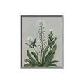 Picture of White flower II  _GroupedProduct_Rectangle_Portrait_Canvas_Framed_