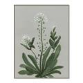 Picture of White flower II  _GroupedProduct_Rectangle_Portrait_Canvas_Framed_