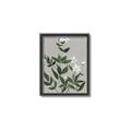 Picture of White flower III _GroupedProduct_Rectangle_Portrait_Canvas_Framed_