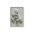 Picture of White flower III _GroupedProduct_Rectangle_Portrait_Canvas_Framed_