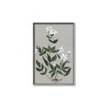 Picture of White flower III _GroupedProduct_Rectangle_Portrait_Canvas_Framed_