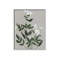 Picture of White flower III _GroupedProduct_Rectangle_Portrait_Canvas_Framed_