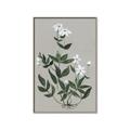 Picture of White flower III _GroupedProduct_Rectangle_Portrait_Canvas_Framed_