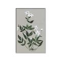 Picture of White flower III _GroupedProduct_Rectangle_Portrait_Canvas_Framed_