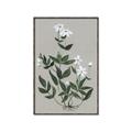 Picture of White flower III _GroupedProduct_Rectangle_Portrait_Canvas_Framed_