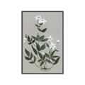 Picture of White flower III _GroupedProduct_Rectangle_Portrait_Canvas_Framed_