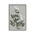 Picture of White flower III _GroupedProduct_Rectangle_Portrait_Canvas_Framed_