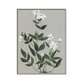Picture of White flower III _GroupedProduct_Rectangle_Portrait_Canvas_Framed_