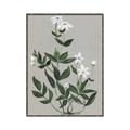 Picture of White flower III _GroupedProduct_Rectangle_Portrait_Canvas_Framed_