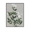Picture of White flower III _GroupedProduct_Rectangle_Portrait_Canvas_Framed_