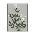 Picture of White flower III _GroupedProduct_Rectangle_Portrait_Canvas_Framed_