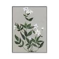 Picture of White flower III _GroupedProduct_Rectangle_Portrait_Canvas_Framed_