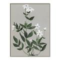 Picture of White flower III _GroupedProduct_Rectangle_Portrait_Canvas_Framed_