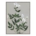 Picture of White flower III _GroupedProduct_Rectangle_Portrait_Canvas_Framed_