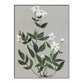 Picture of White flower III _GroupedProduct_Rectangle_Portrait_Canvas_Framed_