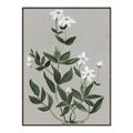 Picture of White flower III _GroupedProduct_Rectangle_Portrait_Canvas_Framed_