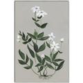 Picture of White flower III _GroupedProduct_Rectangle_Portrait_Canvas_Framed_