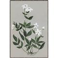 Picture of White flower III _GroupedProduct_Rectangle_Portrait_Canvas_Framed_
