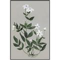 Picture of White flower III _GroupedProduct_Rectangle_Portrait_Canvas_Framed_