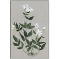 Picture of White flower III _GroupedProduct_Rectangle_Portrait_Canvas_Framed_