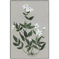 Picture of White flower III _GroupedProduct_Rectangle_Portrait_Canvas_Framed_