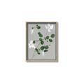 Picture of White flower IV _GroupedProduct_Rectangle_Portrait_Canvas_Framed_