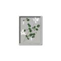 Picture of White flower IV _GroupedProduct_Rectangle_Portrait_Canvas_Framed_