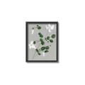 Picture of White flower IV _GroupedProduct_Rectangle_Portrait_Canvas_Framed_