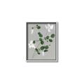 Picture of White flower IV _GroupedProduct_Rectangle_Portrait_Canvas_Framed_
