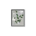 Picture of White flower IV _GroupedProduct_Rectangle_Portrait_Canvas_Framed_
