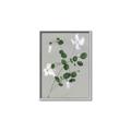 Picture of White flower IV _GroupedProduct_Rectangle_Portrait_Canvas_Framed_