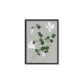 Picture of White flower IV _GroupedProduct_Rectangle_Portrait_Canvas_Framed_