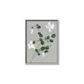 Picture of White flower IV _GroupedProduct_Rectangle_Portrait_Canvas_Framed_