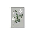 Picture of White flower IV _GroupedProduct_Rectangle_Portrait_Canvas_Framed_