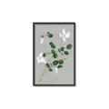 Picture of White flower IV _GroupedProduct_Rectangle_Portrait_Canvas_Framed_