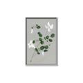 Picture of White flower IV _GroupedProduct_Rectangle_Portrait_Canvas_Framed_