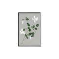Picture of White flower IV _GroupedProduct_Rectangle_Portrait_Canvas_Framed_
