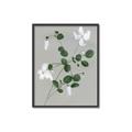 Picture of White flower IV _GroupedProduct_Rectangle_Portrait_Canvas_Framed_