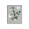 Picture of White flower IV _GroupedProduct_Rectangle_Portrait_Canvas_Framed_