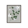 Picture of White flower IV _GroupedProduct_Rectangle_Portrait_Canvas_Framed_