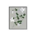 Picture of White flower IV _GroupedProduct_Rectangle_Portrait_Canvas_Framed_