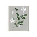 Picture of White flower IV _GroupedProduct_Rectangle_Portrait_Canvas_Framed_