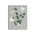 Picture of White flower IV _GroupedProduct_Rectangle_Portrait_Canvas_Framed_