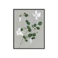 Picture of White flower IV _GroupedProduct_Rectangle_Portrait_Canvas_Framed_