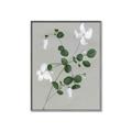 Picture of White flower IV _GroupedProduct_Rectangle_Portrait_Canvas_Framed_
