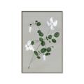 Picture of White flower IV _GroupedProduct_Rectangle_Portrait_Canvas_Framed_
