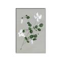 Picture of White flower IV _GroupedProduct_Rectangle_Portrait_Canvas_Framed_