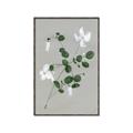 Picture of White flower IV _GroupedProduct_Rectangle_Portrait_Canvas_Framed_