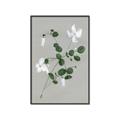 Picture of White flower IV _GroupedProduct_Rectangle_Portrait_Canvas_Framed_